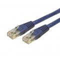 Câble Internet Cat6 10''